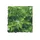 ZooMed - Cannabis - Décor pour Terrarium - ZooMed