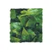 ZooMed - Mexican Phyllo - Décor pour Terrarium