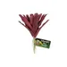 ZooMed - Naturalistic Flora, Fireball Bromelia - Décor pour Terrarium
