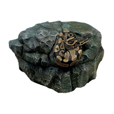 ZooMed - Repti Shelter - Cachette humide - Décor pour Gecko - Serpent