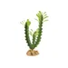 ZooMed - Naturalistic Desert Flora - Euphorbia - Décor pour Reptiles