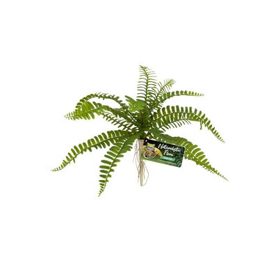 ZooMed - Naturalistic Flora, Sword Fern - Décor pour Terrarium