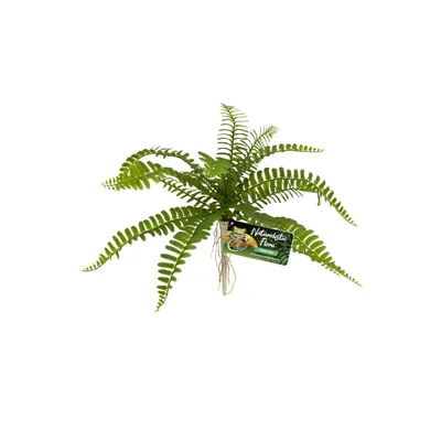 ZooMed - Naturalistic Flora, Sword Fern - Décor pour Terrarium
