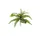 ZooMed - Naturalistic Flora, Sword Fern - Décor pour Terrarium - ZooMed