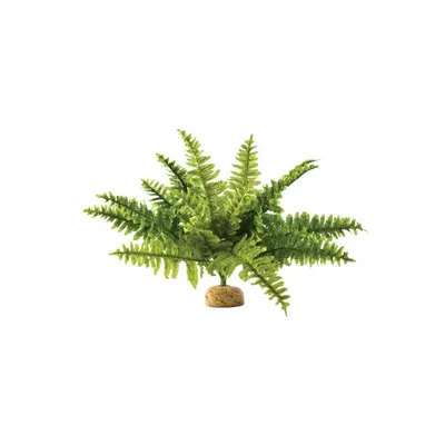 Exo Terra - Fougère de Boston - Décor pour Reptiles