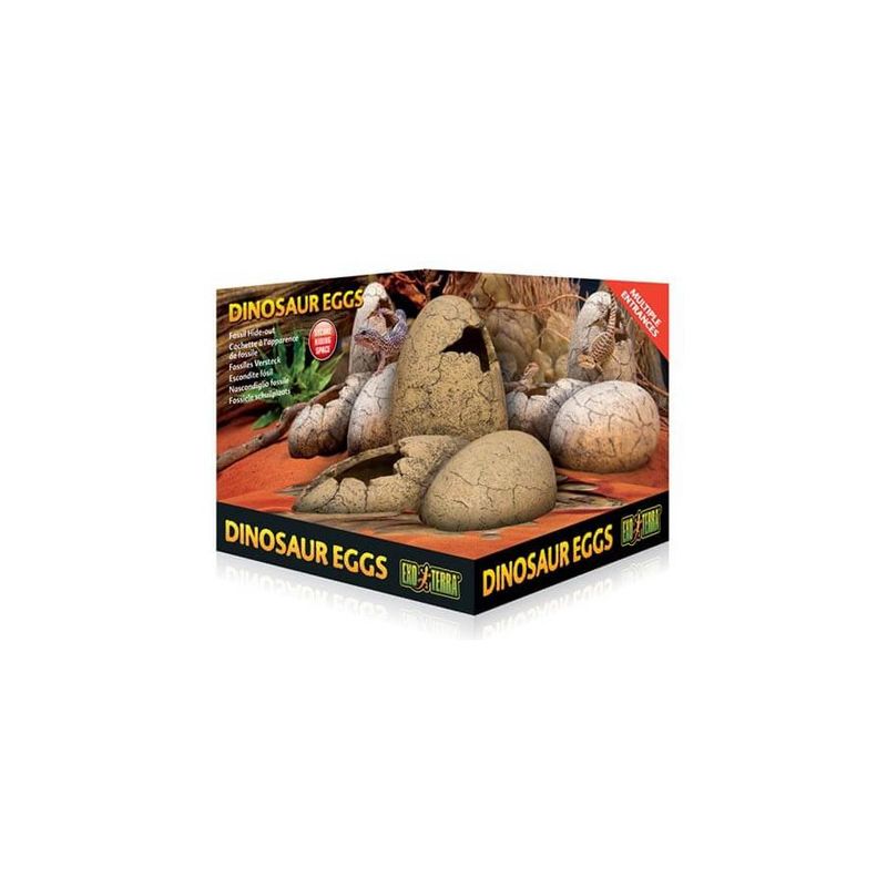 Exo Terra - Oeufs de dinosaure - Décor pour Reptiles