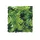 ZooMed - Amazonian Phyllo - Décor pour Terrarium - ZooMed