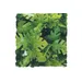 ZooMed - Amazonian Phyllo - Décor pour Terrarium
