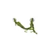 Hobby - Liane artificielle - Décor pour Reptiles