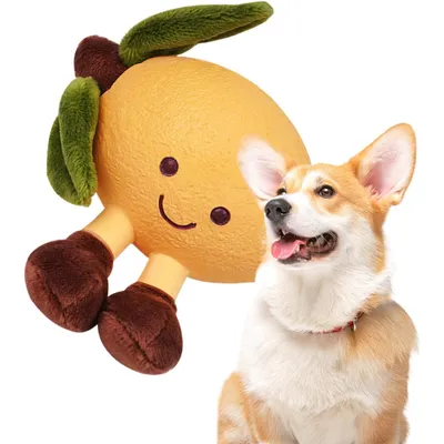 KPYTE Jouets à mâcher pour chiens