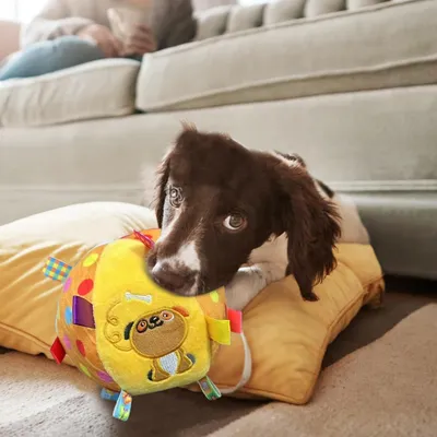 KPYTE Jouets en peluche pour chiens