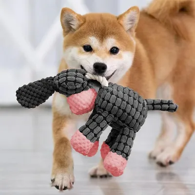 KPYTE Jouets en peluche doux pour chiens