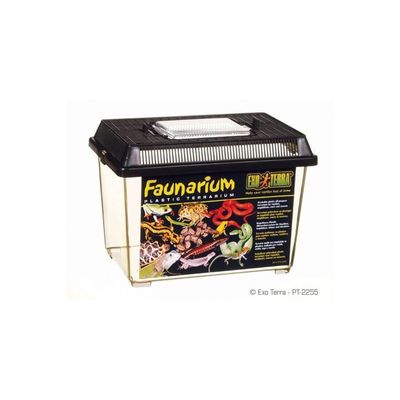 Exo Terra - Faunarium pour Reptile