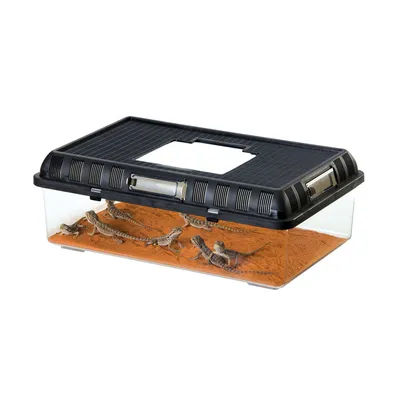 Exo Terra - Breeding Box pour Reptiles