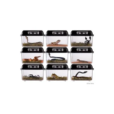 Exo Terra - Breeding Box pour Reptiles