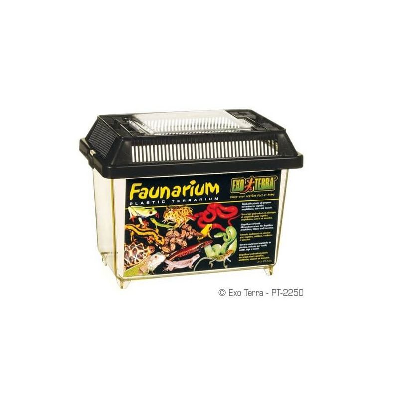 Exo Terra - Faunarium pour Reptile