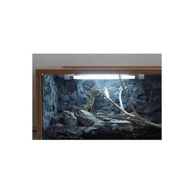 Arcadia - Kit MiniT5 UVB 7% 8W ShadeDweller - Eclairage