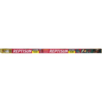 ZooMed - Repti Sun 5.0 T5 - Eclairage pour Reptiles