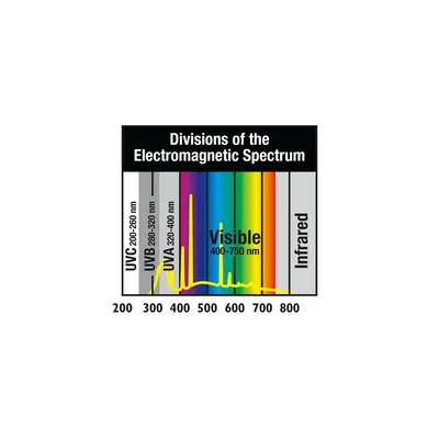 ZooMed - Repti Sun 5.0 T5 - Eclairage UVB pour Reptiles