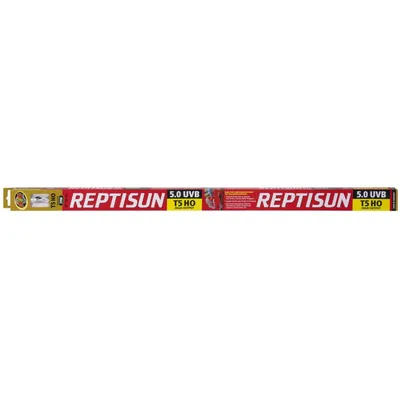 ZooMed - Repti Sun 5.0 T5 - Eclairage UVB pour Reptiles - ZooMed