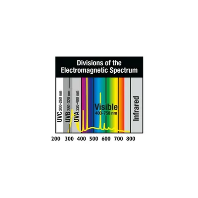 ZooMed - Repti Sun 10.0 T5 - Eclairage UVB pour Reptiles