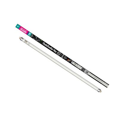 Arcadia - Lampes de rechange pour Kit ShadeDweller - Eclairage Reptiles