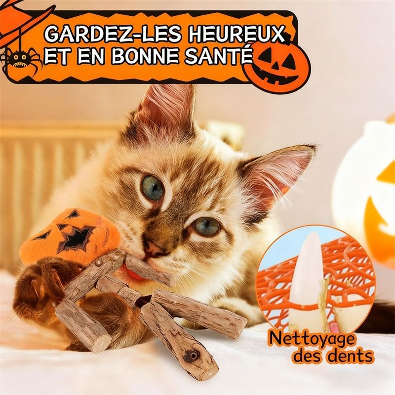 IntiMeg Bâton d'herbe à chat - Citrouille d'Halloween pour chat
