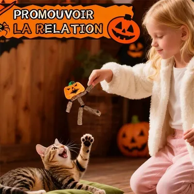 IntiMeg Bâton d'herbe à chat - Citrouille d'Halloween pour chat