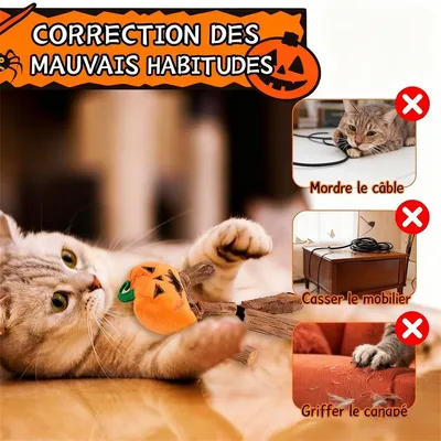 IntiMeg Bâton d'herbe à chat - Citrouille d'Halloween pour chat