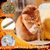 IntiMeg Bâton d'herbe à chat - Citrouille d'Halloween pour chat