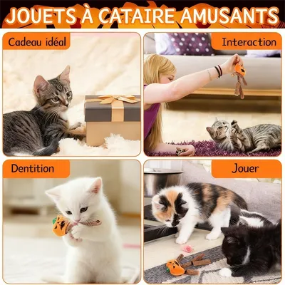 IntiMeg Bâton d'herbe à chat - Citrouille d'Halloween pour chat