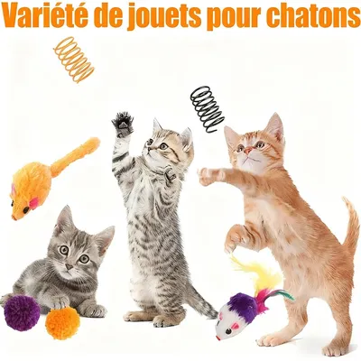 IntiMeg Lot de 13 jouets - Halloween pour chat - Jeu interactif