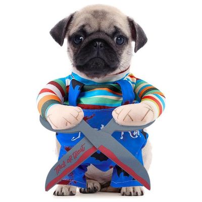 IntiMeg Costume d'Halloween pour chien tenant des ciseaux