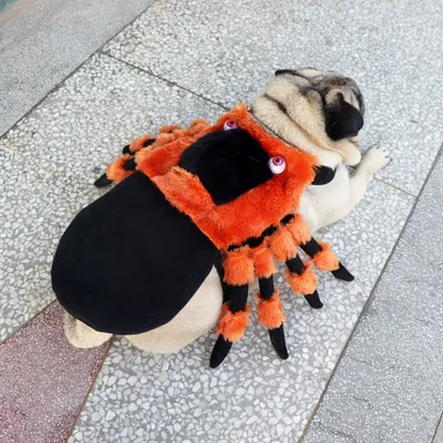 FurryFusion Halloween-Kostüm „Spinne mit roten Augen“ für Hunde FurryFusion Halloween-Kostüm „Spinne mit roten Augen“ für Hunde
