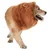 IntiMeg Fantasie-Löwenkopf für Hunde zu Halloween IntiMeg Fantasie-Löwenkopf für Hunde zu Halloween