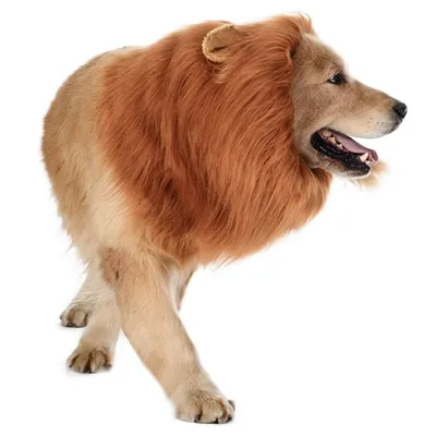 IntiMeg Fantasie-Löwenkopf für Hunde zu Halloween IntiMeg Fantasie-Löwenkopf für Hunde zu Halloween