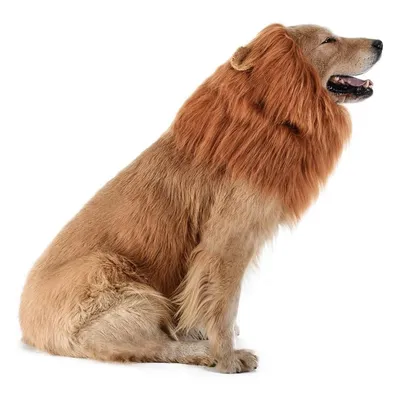 IntiMeg Fantasie-Löwenkopf für Hunde zu Halloween IntiMeg Fantasie-Löwenkopf für Hunde zu Halloween