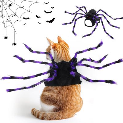 IntiMeg Costume Chat-Araignée violet pour Halloween