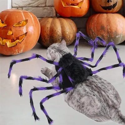 IntiMeg Lila Spinne für Halloween IntiMeg Lila Spinne für Halloween