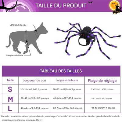 IntiMeg Araignée violette pour Halloween