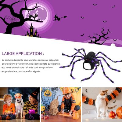 IntiMeg Araña morada para Halloween
