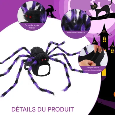 IntiMeg Lila Spinne für Halloween IntiMeg Lila Spinne für Halloween