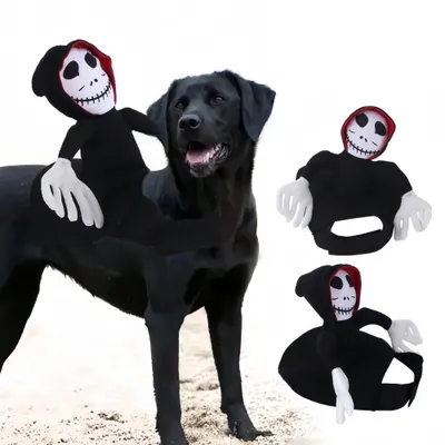 FurryFusion Halloween-Kostüm für Hunde: Teufel für Kinder FurryFusion Halloween-Kostüm für Hunde: Teufel für Kinder