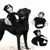 FurryFusion Halloween-Kostüm für Hunde: Teufel für Kinder FurryFusion Halloween-Kostüm für Hunde: Teufel für Kinder