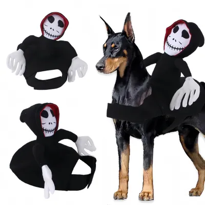 FurryFusion Halloween-Kostüm für Hunde: Teufel für Kinder FurryFusion Halloween-Kostüm für Hunde: Teufel für Kinder