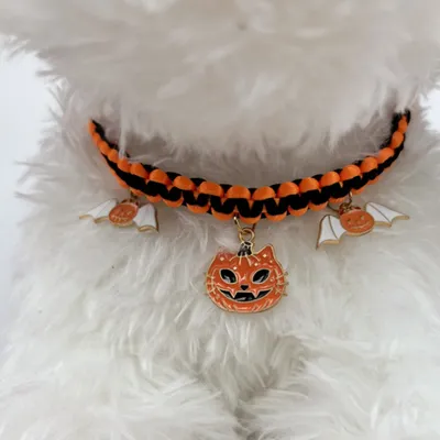 FurryFusion Collier pour chien chauve-souris citrouille d'Halloween