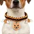 FurryFusion Collier pour chien chauve-souris citrouille d'Halloween