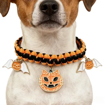 FurryFusion Collier pour chien chauve-souris citrouille d'Halloween