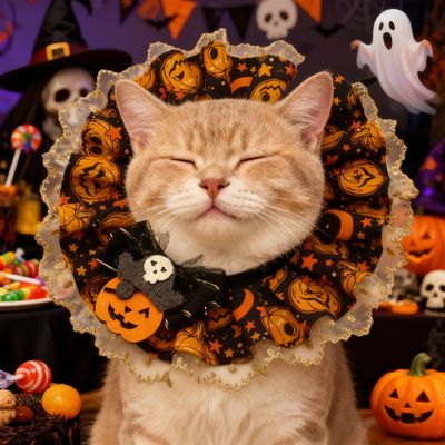 FurryFusion Collar de encaje con forma de calabaza de Halloween para gatos