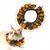 FurryFusion Collier en dentelle pour chat citrouille d'Halloween